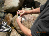 DSCN3353 (Large).JPG (163386 bytes)