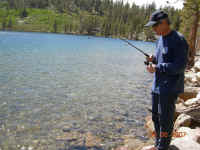 DSCN3354 (Large).JPG (183090 bytes)