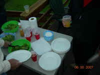 DSCN3379 (Large).JPG (67356 bytes)