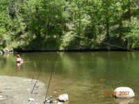 DSCN3391 (Large).JPG (198214 bytes)