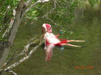 DSCN3401 (Large).JPG (142824 bytes)