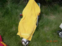 DSCN3410 (Large).JPG (162145 bytes)