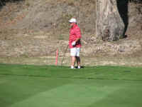 IMG_0715 (Large).JPG (149071 bytes)