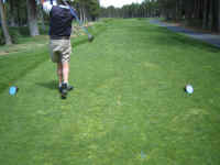 Picture 017.jpg (62873 bytes)