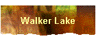 Walker Lake