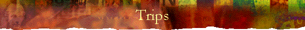 Trips